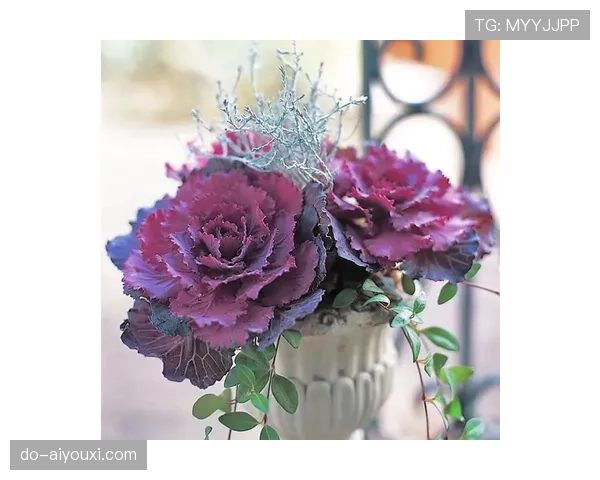 有时候真怀疑古力是魔术师，棋局上铁人，生活里连盆栽都照顾不好！